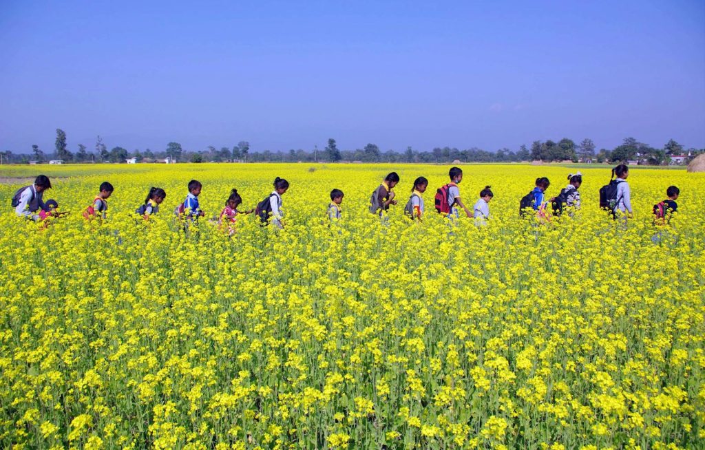 Children Walking on a Field of Yellow Flowers